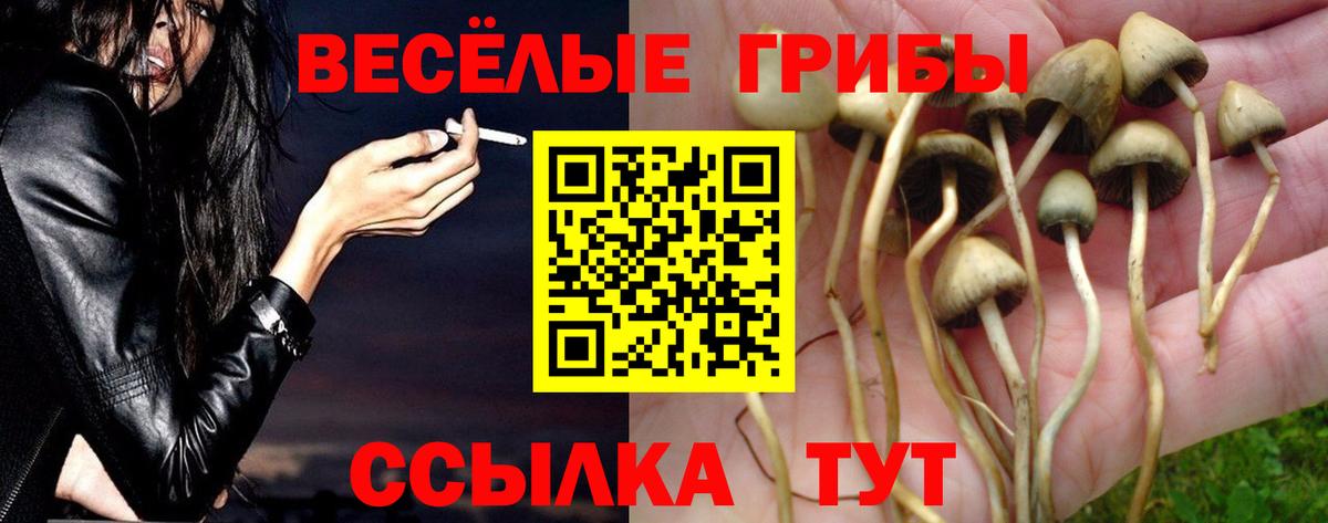 цена наркотик  Галлюциногенные грибы Cubensis  Галлюциногенные грибы ЛСД  Вход с VPN  Коммунар 