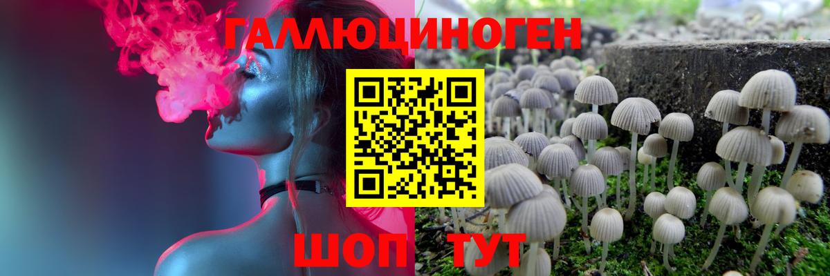 Псилоцибиновые грибы Psilocybine cubensis Коммунар